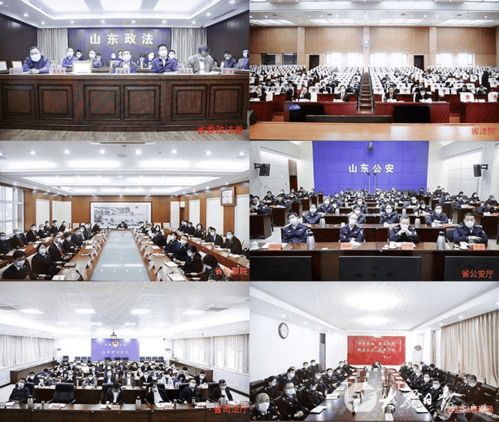第二批政法队伍教育整顿工作推进会召开