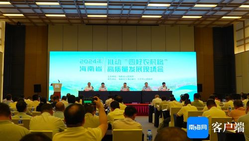 海南将实施新一轮农村公路提升行动 全省农村公路里程达36788.03公里