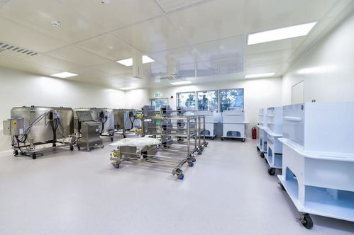 90后选择进厂的现实考量与理性抉择